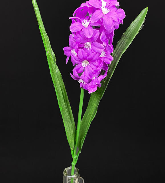 Hyasintti tekokukka, lila