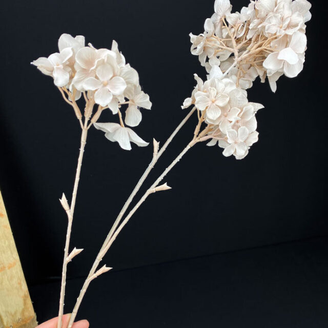 Hortensia tekokukka nude