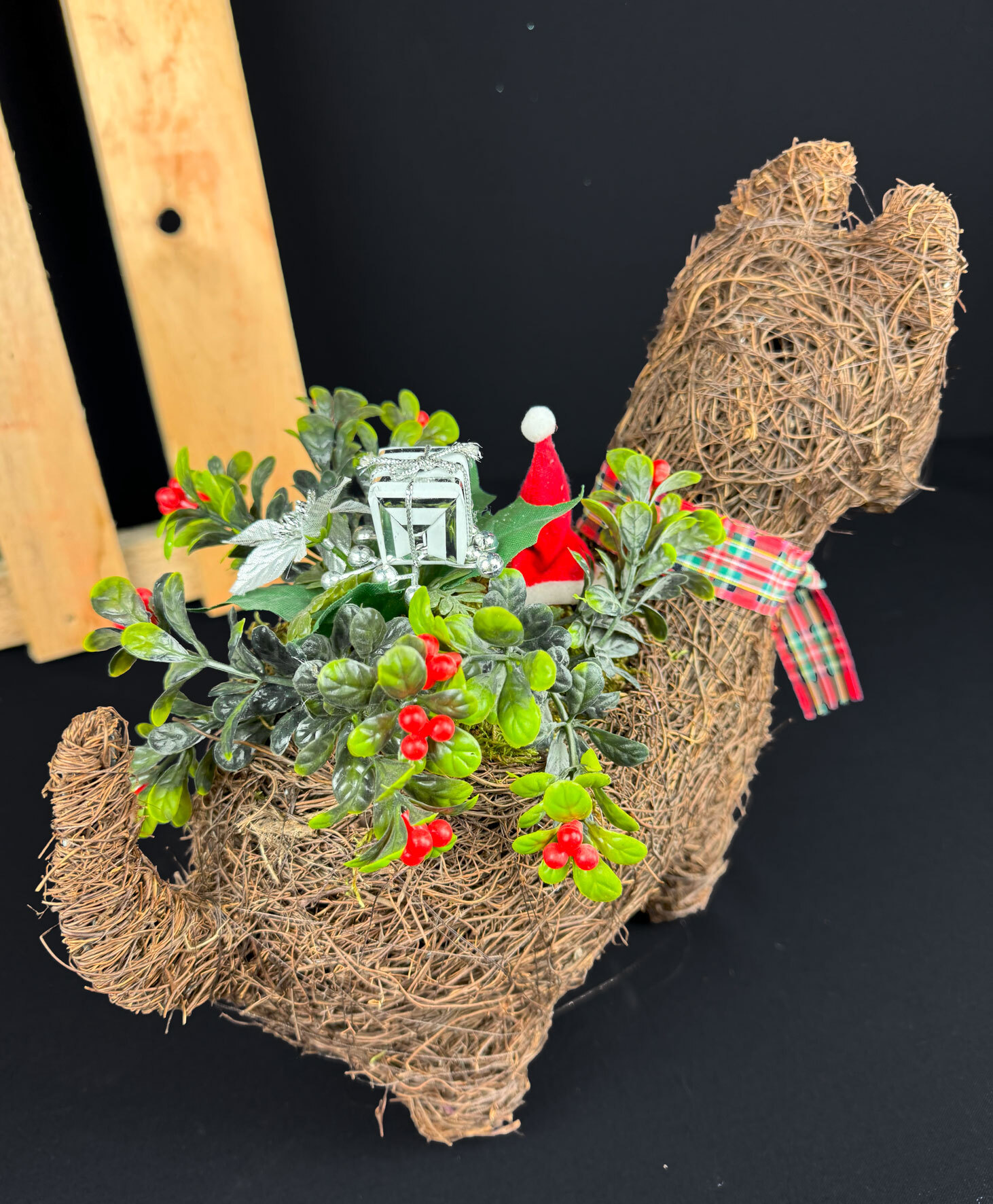 Jouluasetelma koiraruukussa - Image 3