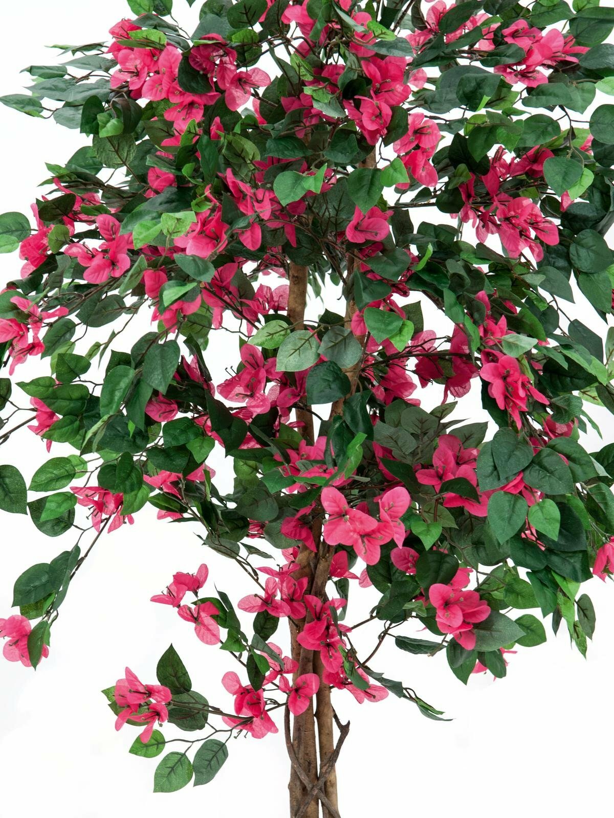 Bougainvillea-tekopuu pinkki 150 cm - Image 2