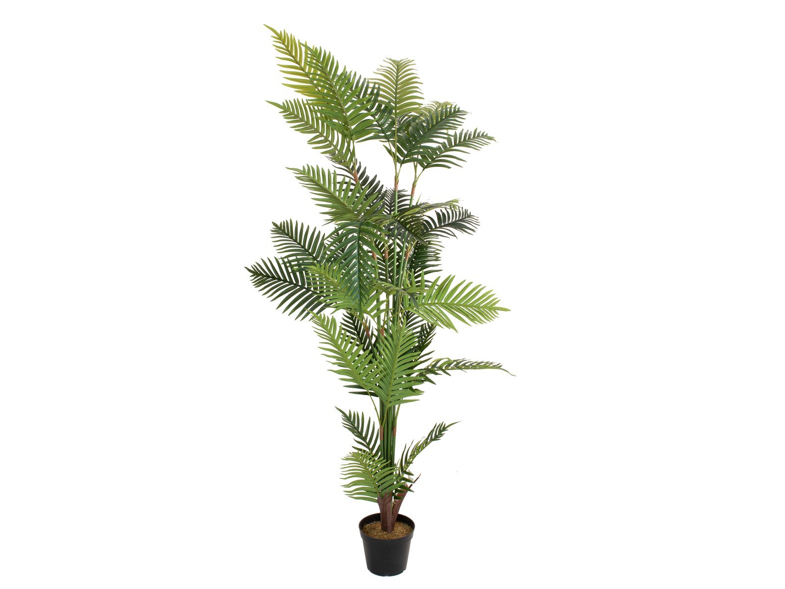 Areka-tekopalmu 180 cm, tummanvihreä - Image 2