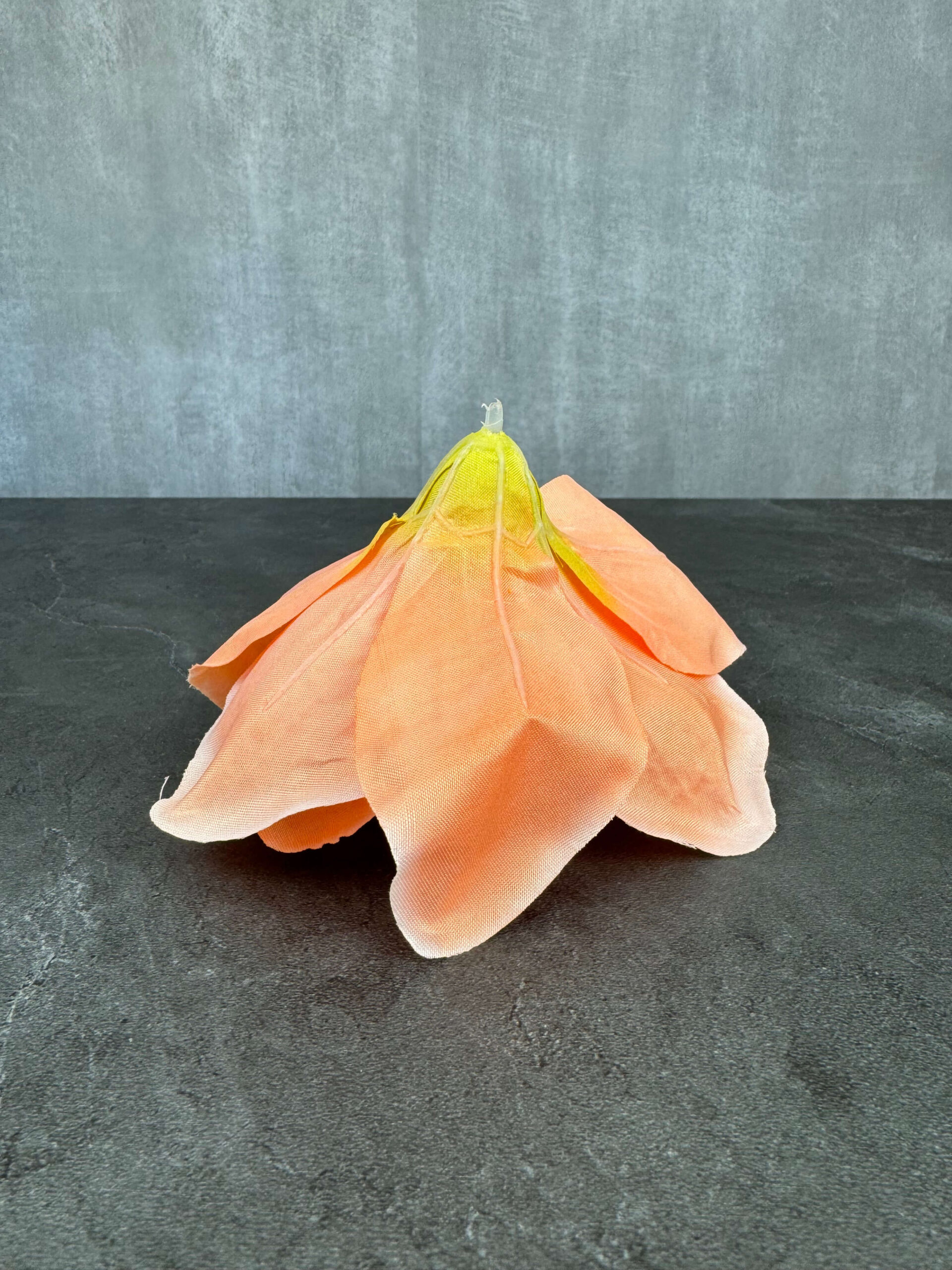 Amaryllis kestokukkapää, aprikoosi - Image 2