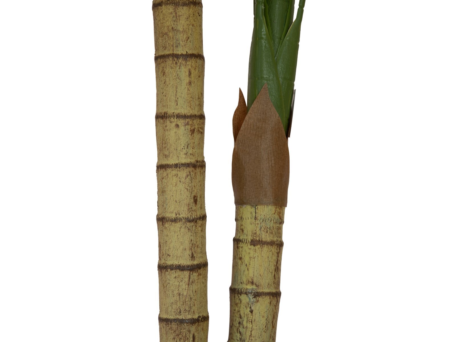 Areka-tekopalmu, 2 runkoa, vihreä 120 cm - Image 3