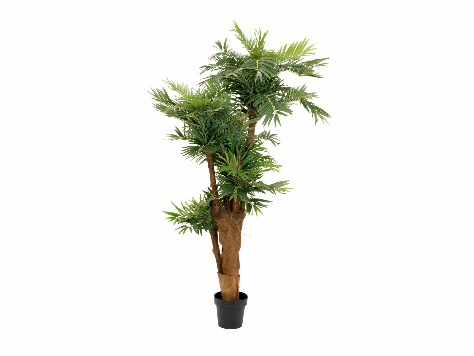 Areka-tekopalmu vihreä 170 cm - Image 2