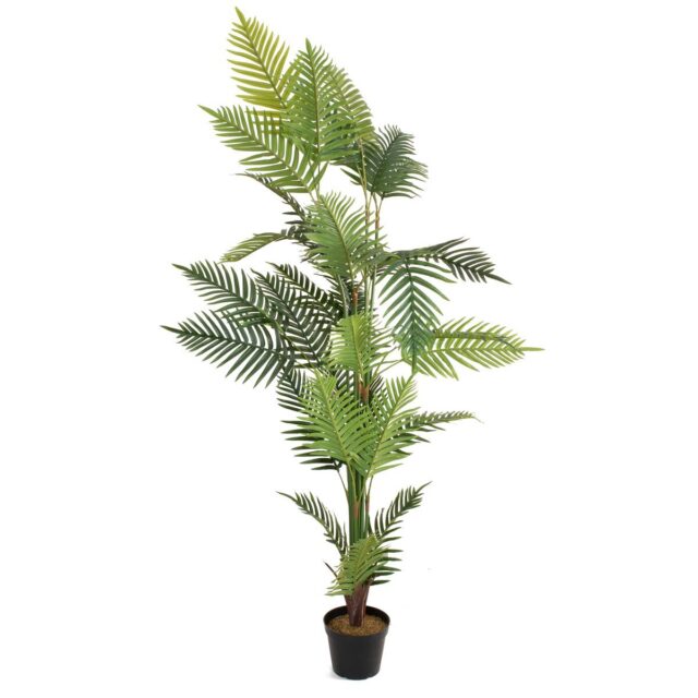 Areca tekopalmu 180cm