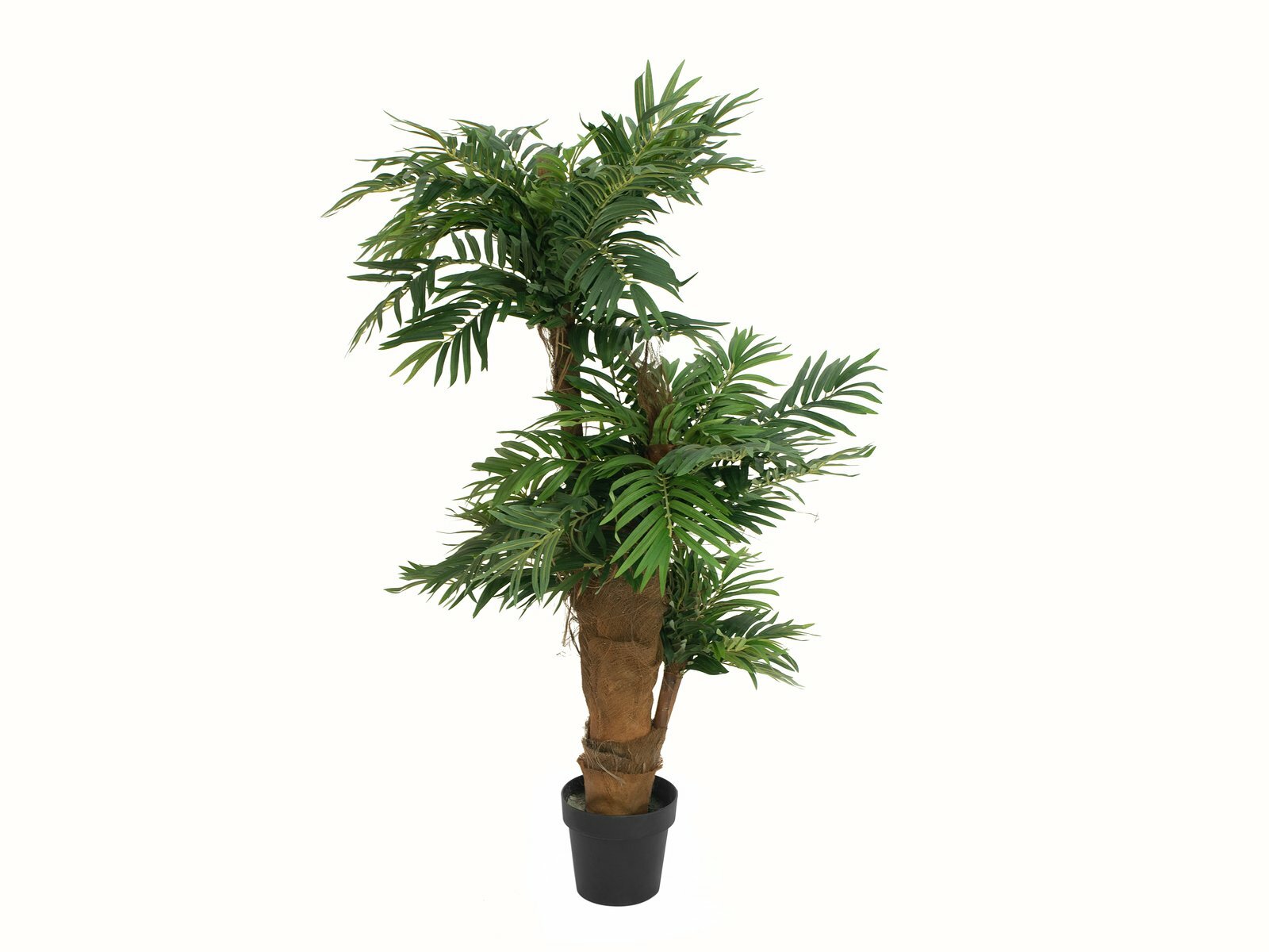 Areca-tekopalmu vihreä 140 cm - Image 4