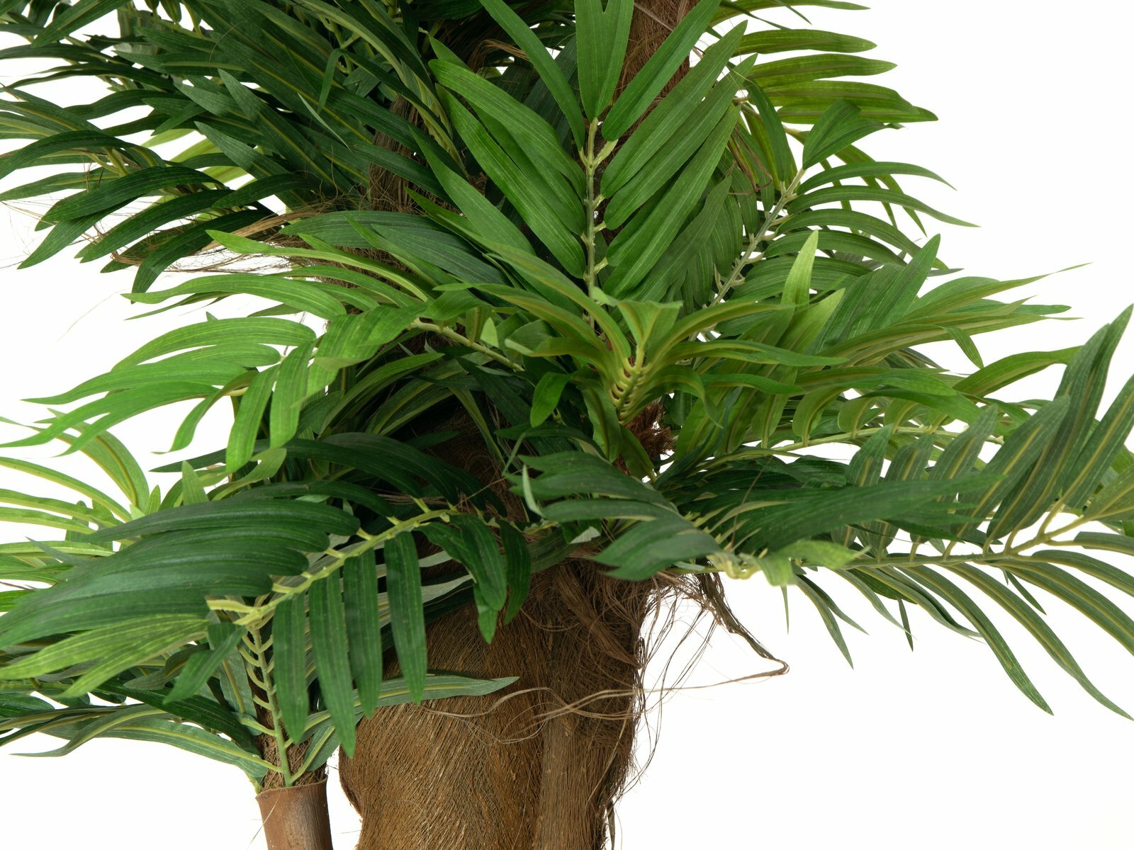 Areca-tekopalmu vihreä 140 cm - Image 2