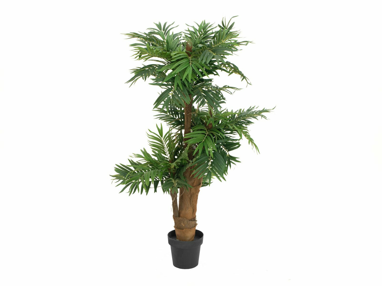 Areca-tekopalmu vihreä 140 cm - Image 3