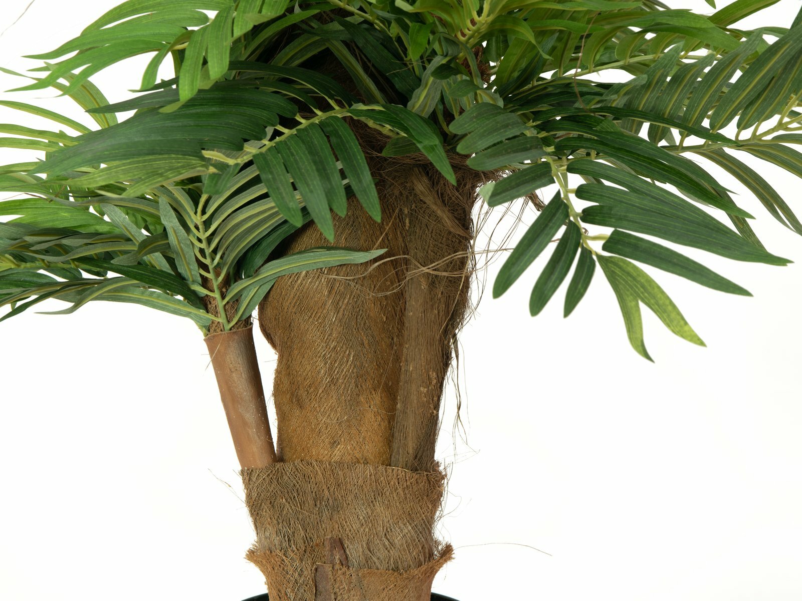 Areca-tekopalmu vihreä 140 cm - Image 6