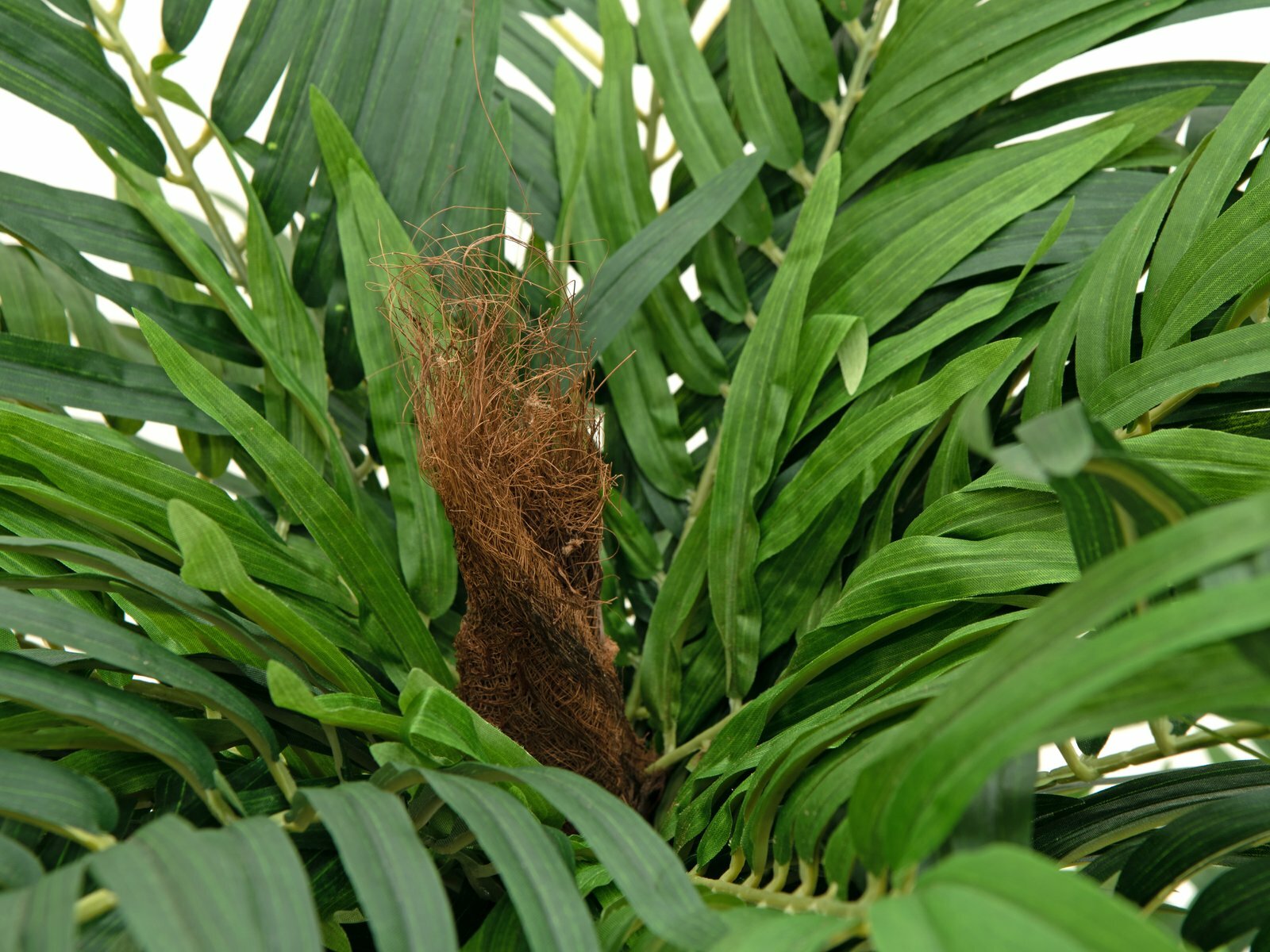 Areca-tekopalmu vihreä 140 cm - Image 5