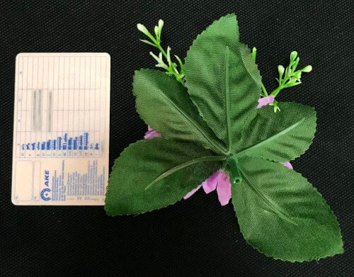 Asteri tekokukkapää lehdillä, vaaleanvioletti - Image 5