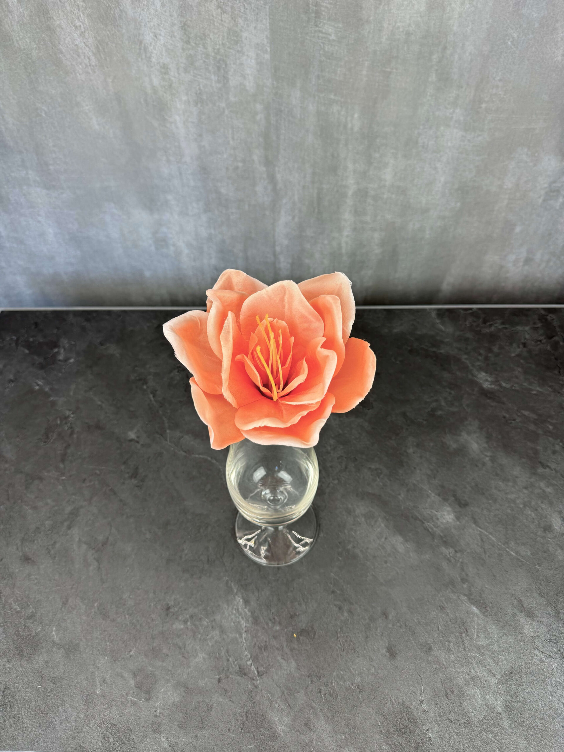Amaryllis kestokukkapää, aprikoosi