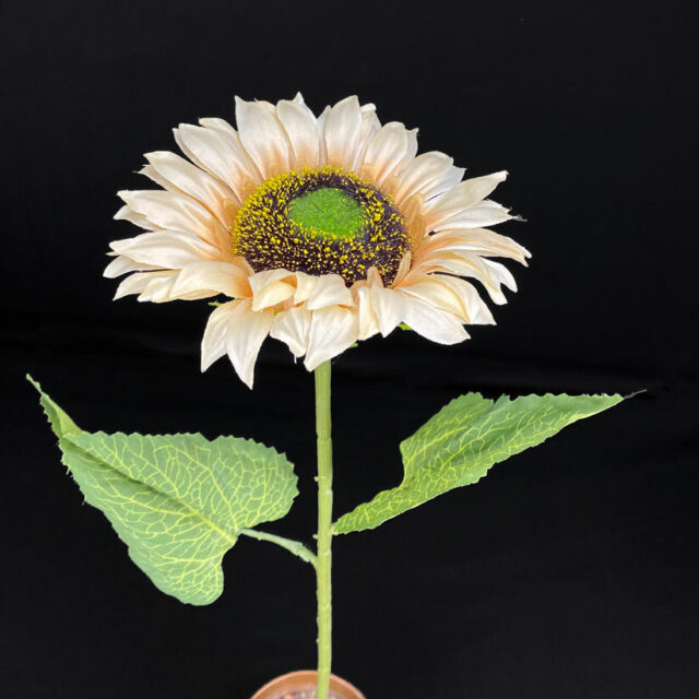 Auringonkukka tekokukka, vaalea beige