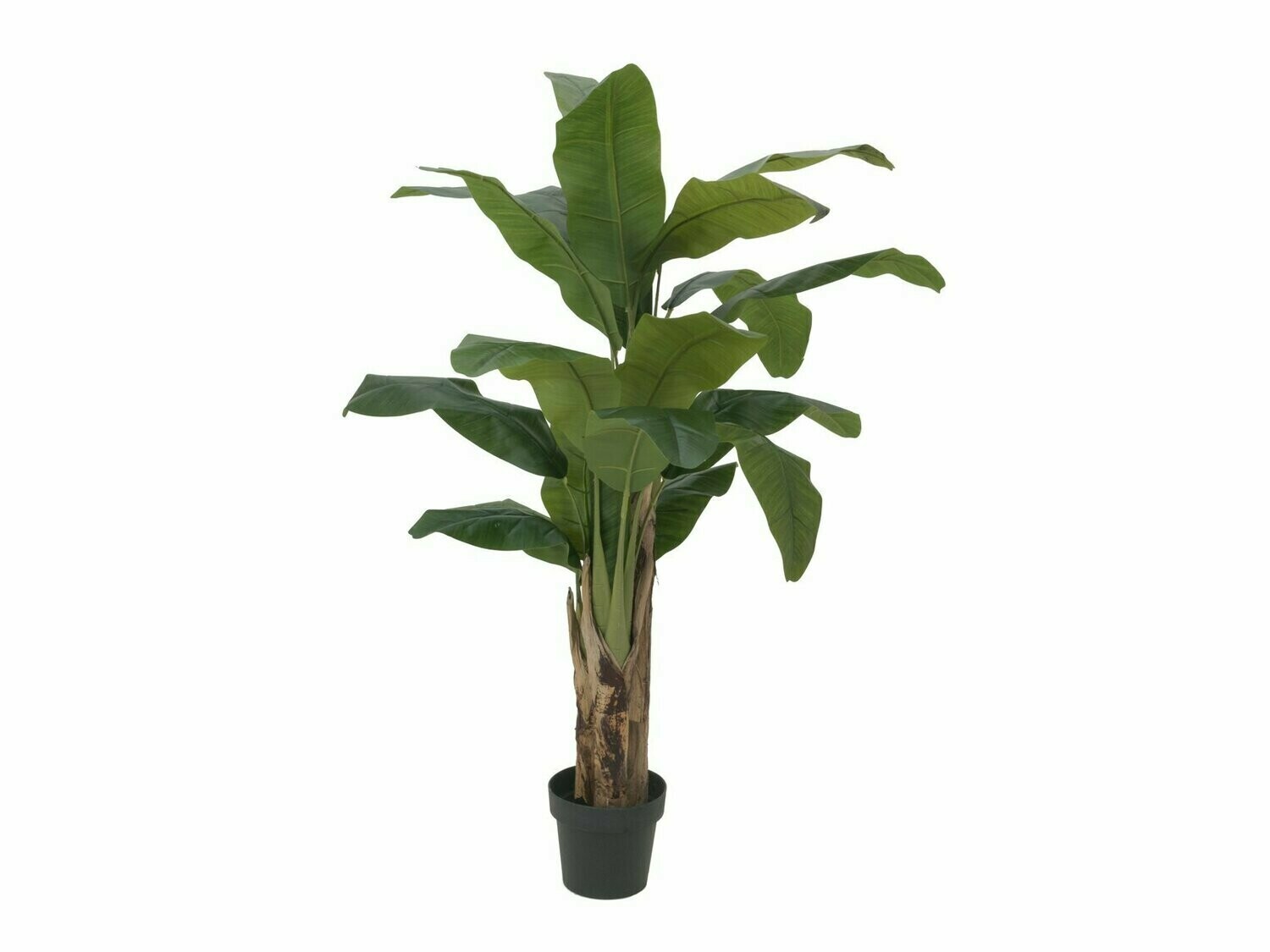 Tekobanaanipuu vihreä 120 cm - Image 2