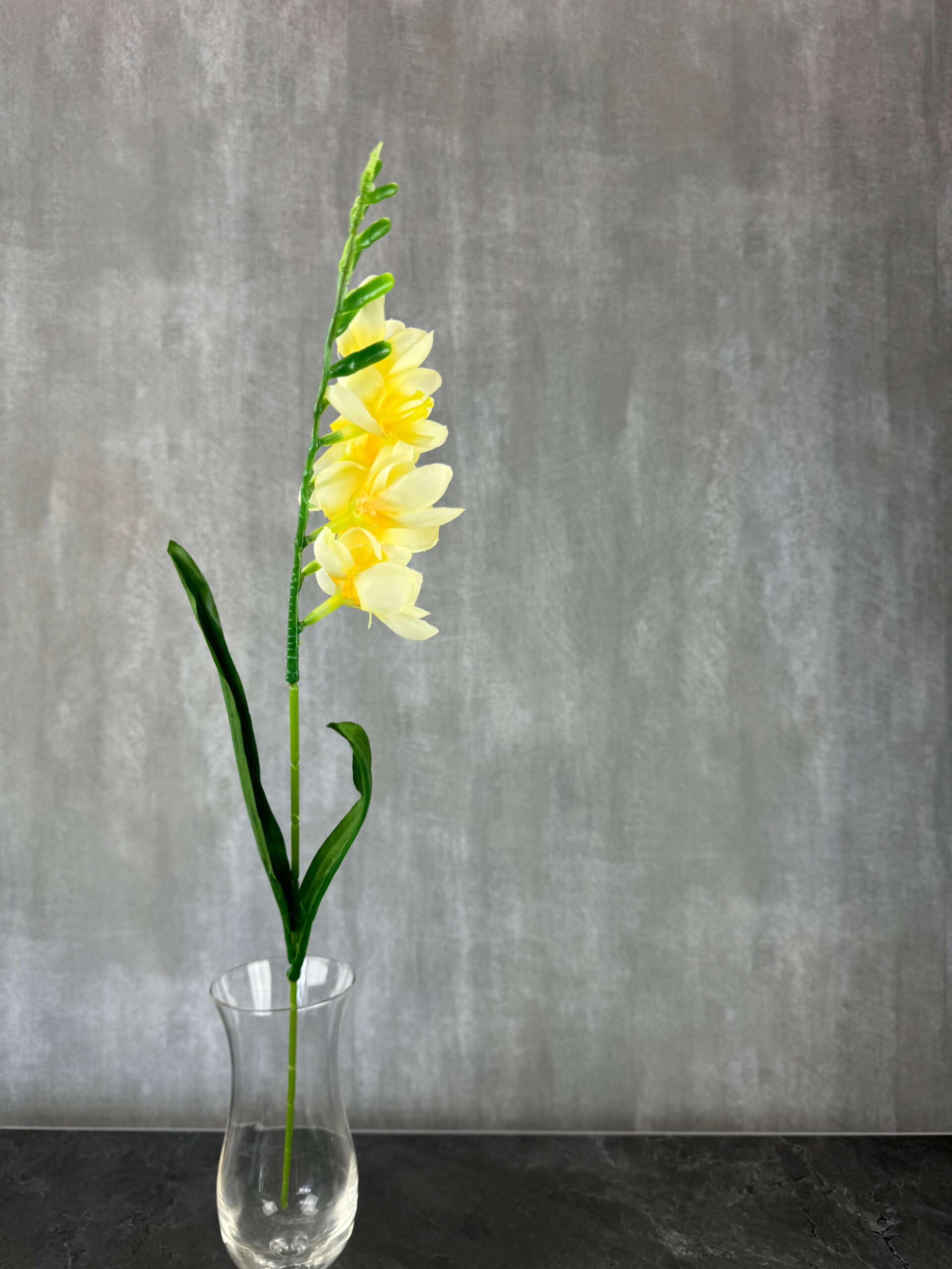 Freesia kestokukka, vaaleankeltainen - Image 2
