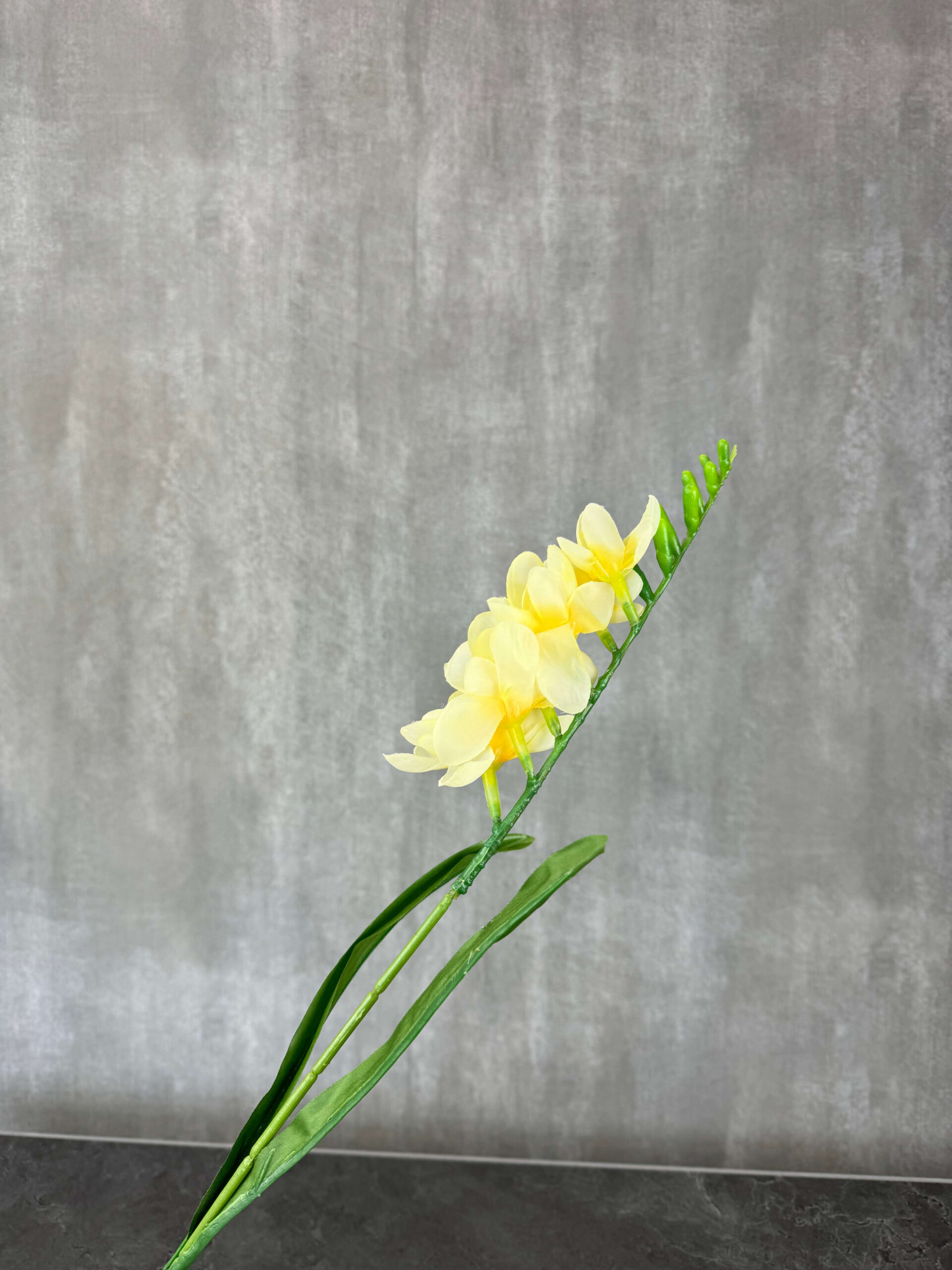 Freesia kestokukka, vaaleankeltainen