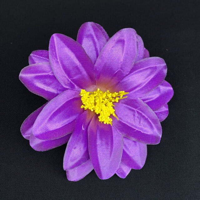 Daalia tekokukkapää, violetti