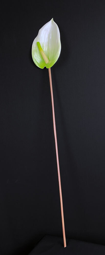Flamingokukka tekokukka, vihreä - Image 2