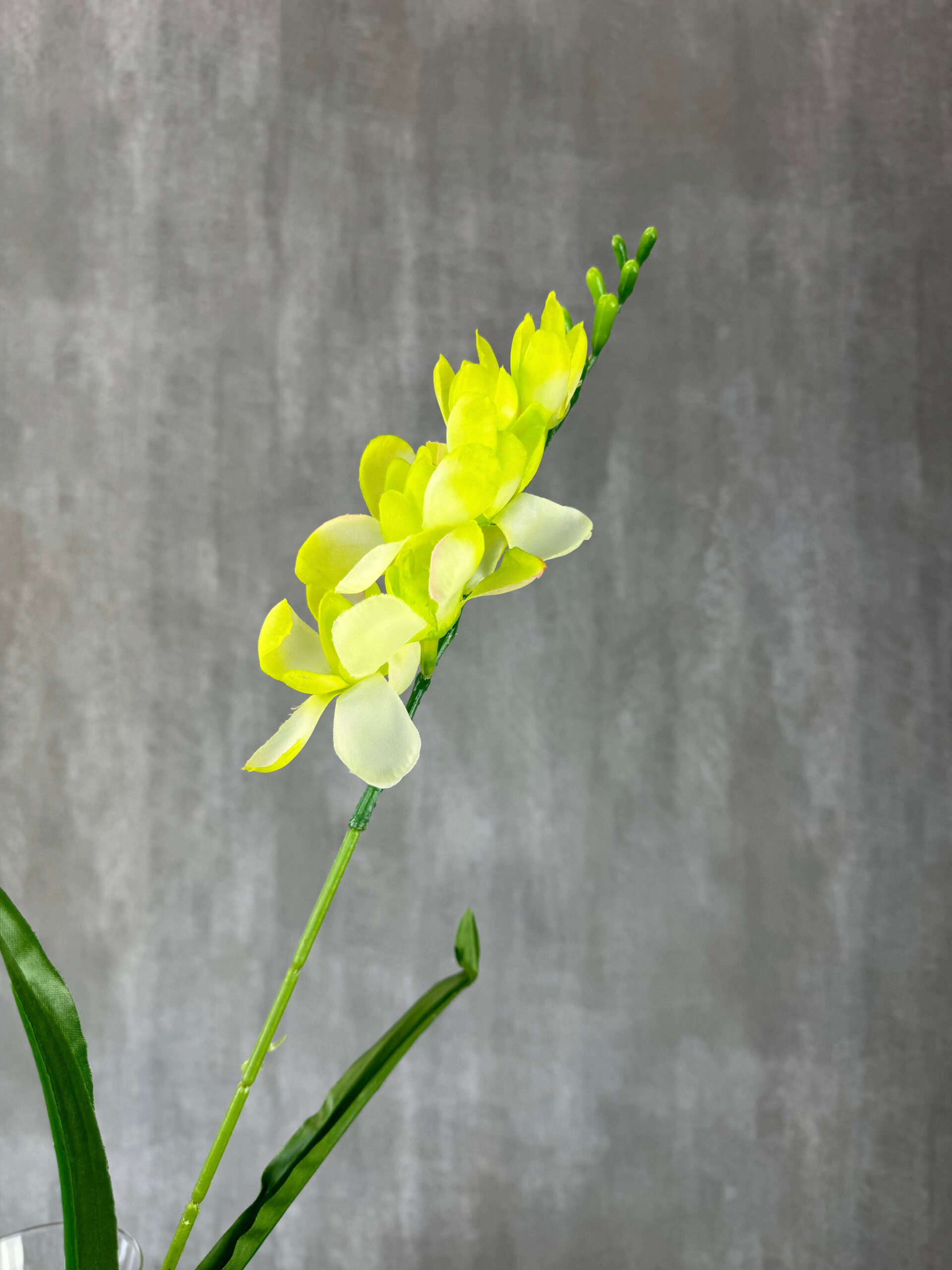 Freesia tekokukka, vaaleanvihreä