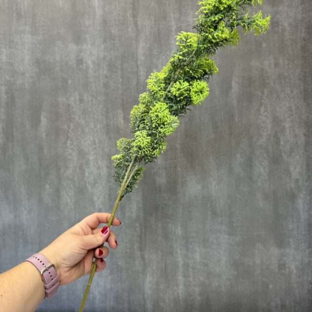 Sypressin teko-oksa 70cm, vihreä