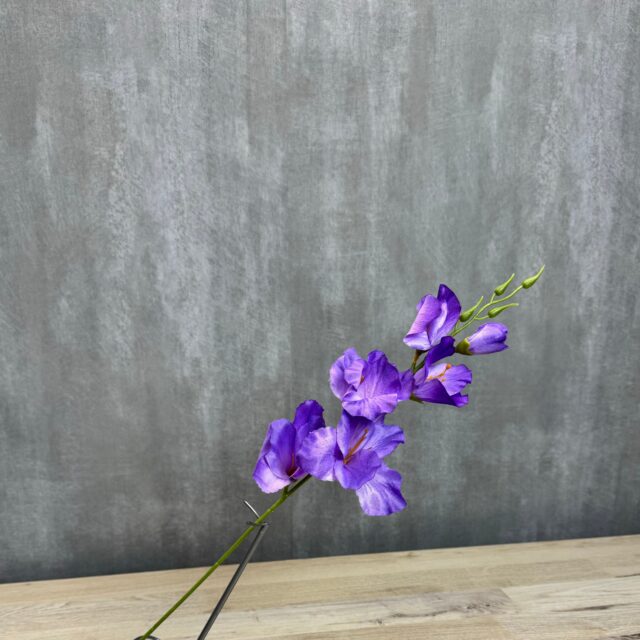 Miekkalilja tekokukka, violetti