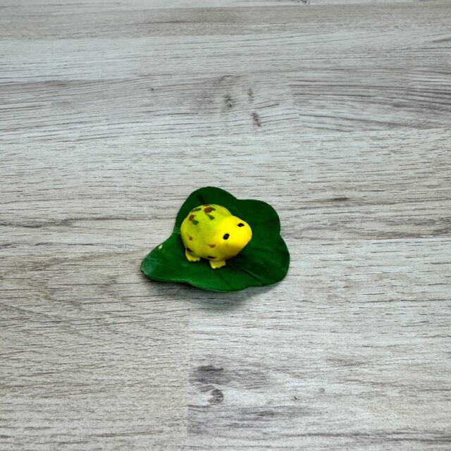 Sammakkokoriste, keltavihreä