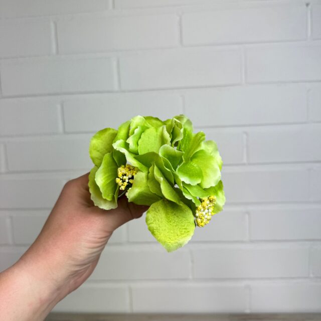 Hortensia kestokukkapää, vihreä
