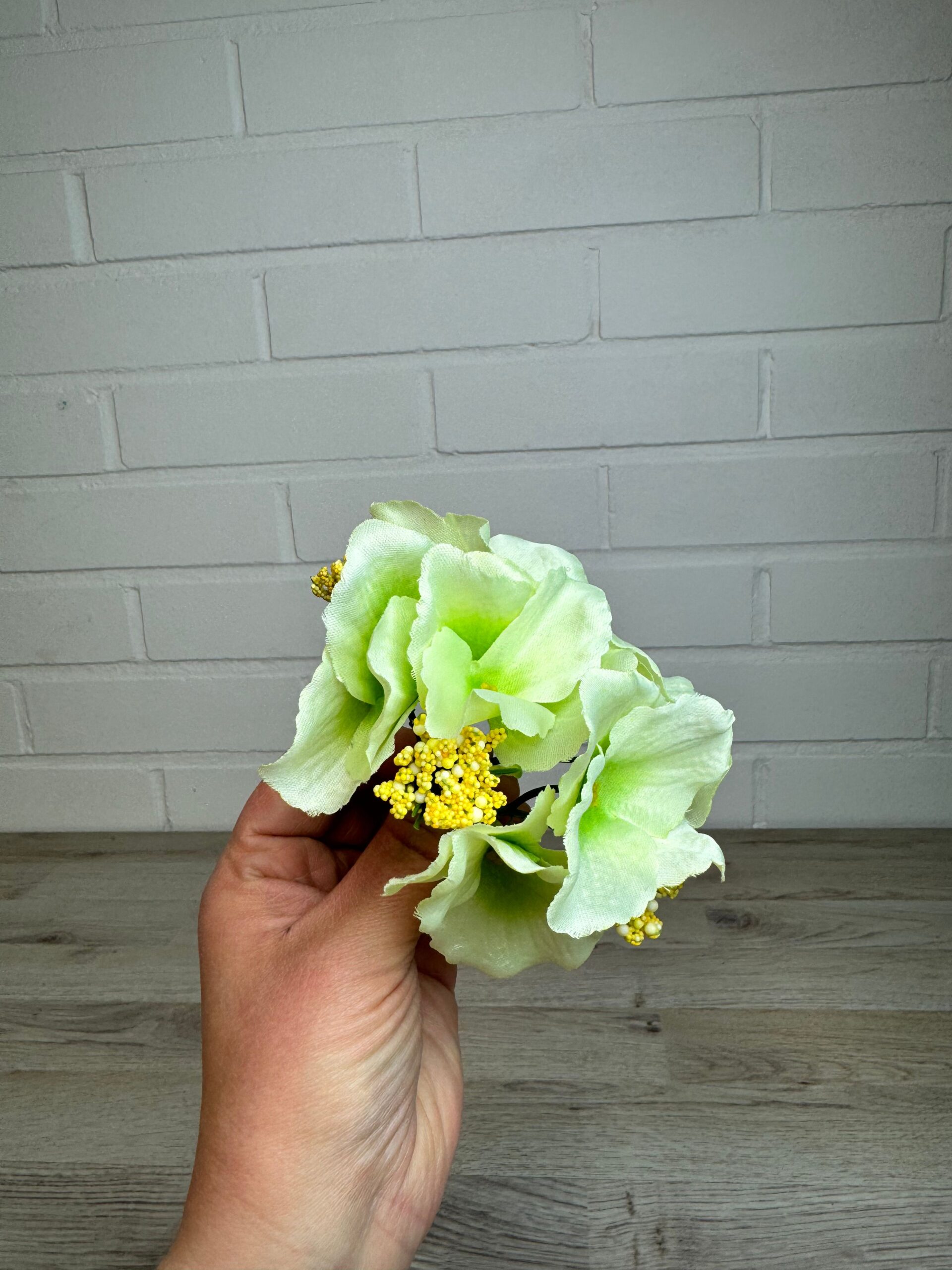 Hortensia kestokukkapää, vaalean vihreä