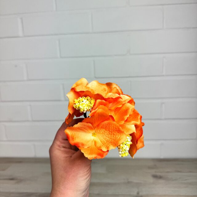 Hortensia kestokukkapää, oranssi