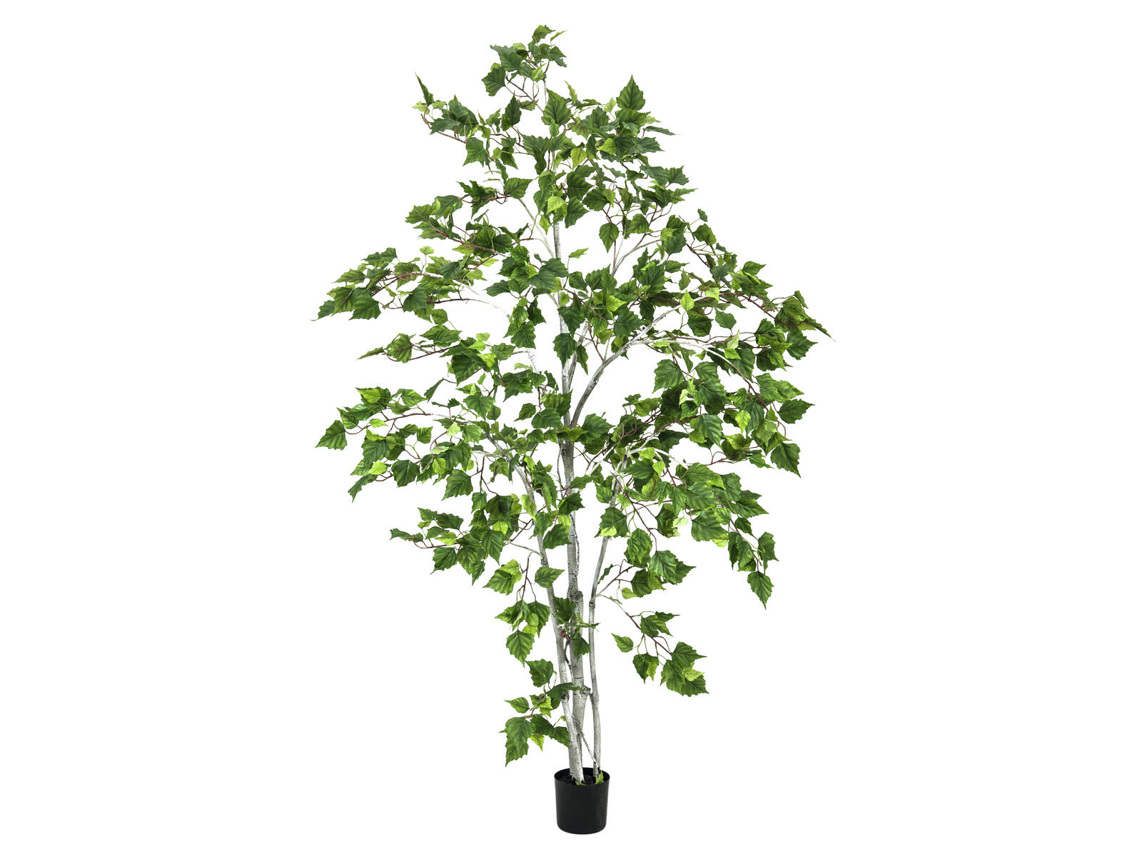 Vihreä koivu-tekopuu puutarharuukussa, korkeus 180 cm