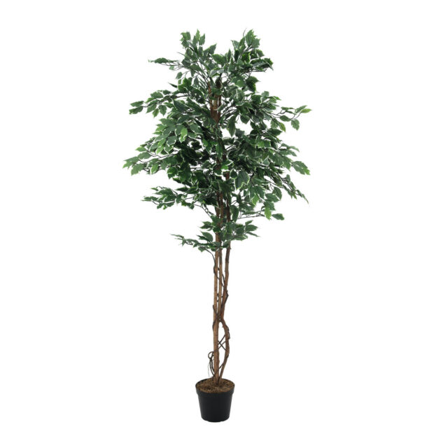 Kirjavalehtinen vihreä-valkoinen tekopuu puutarharuukussa, 180 cm