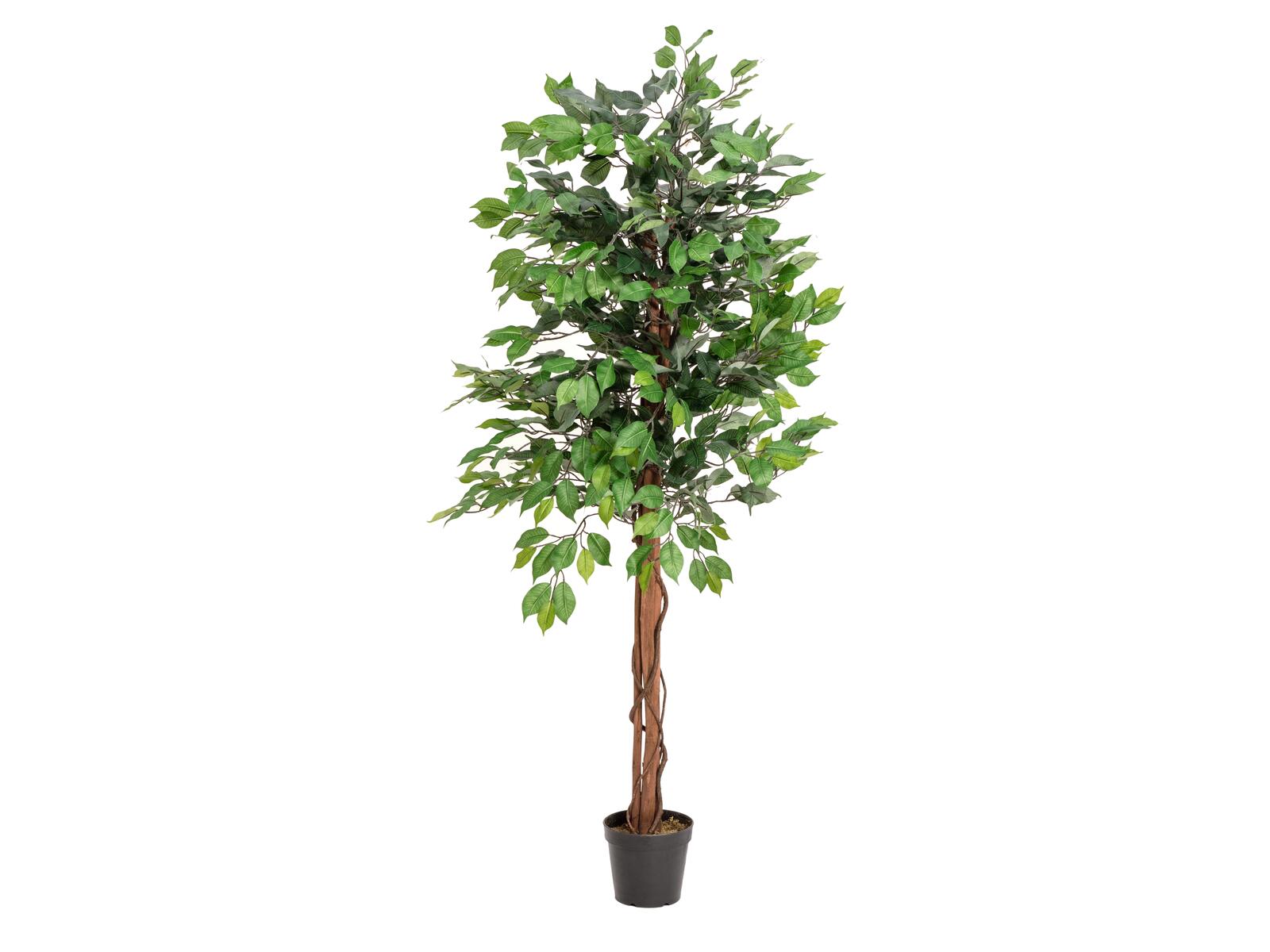 Monirunkoinen vihreä ficus-tekopuu 150 cm
