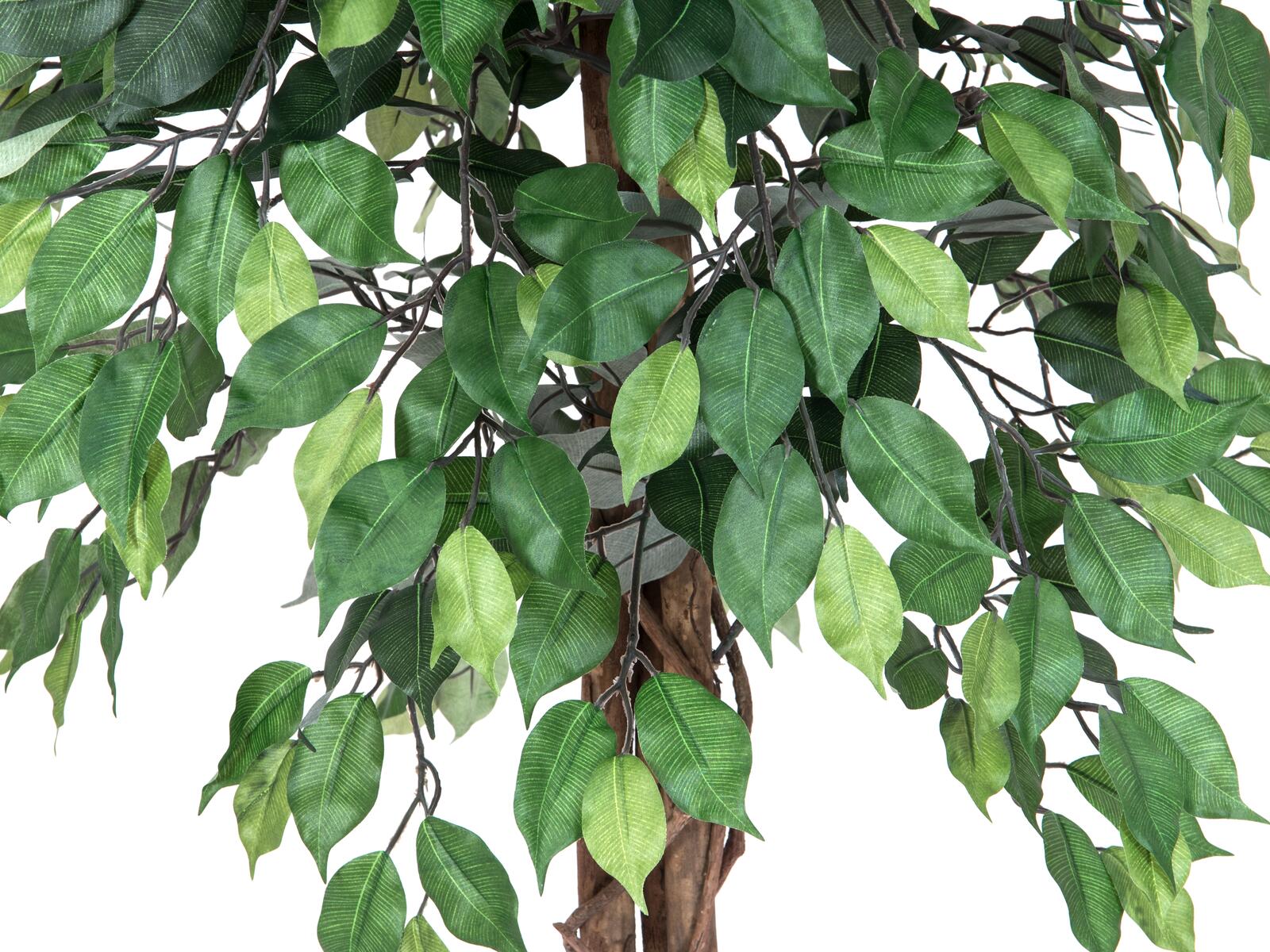 Vihreä monirunkoinen Ficus Benjamini -tekopuu 180 cm