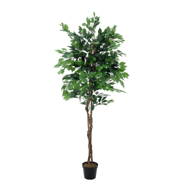 Monirunkoinen vihreä Ficus Benjamini -tekopuu 210 cm