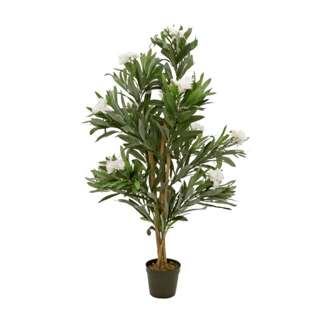 Valkokukkainen oleanteritekopuu 120 cm taimitarharuukussa