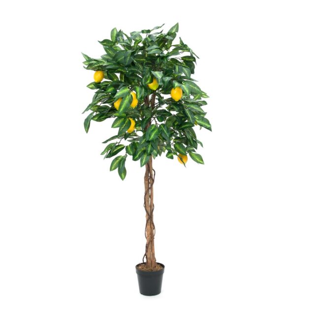 180 cm korkea tekositruunapuu keltaisilla sitruunoilla