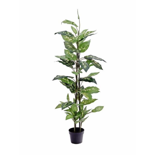 Vihreä-valkoinen dieffenbachia-tekokasvi 120 cm