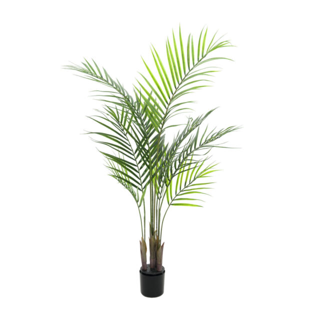 Areca-tekopalmu suurilla vihreillä lehdillä kasvatusruukussa, 125 cm