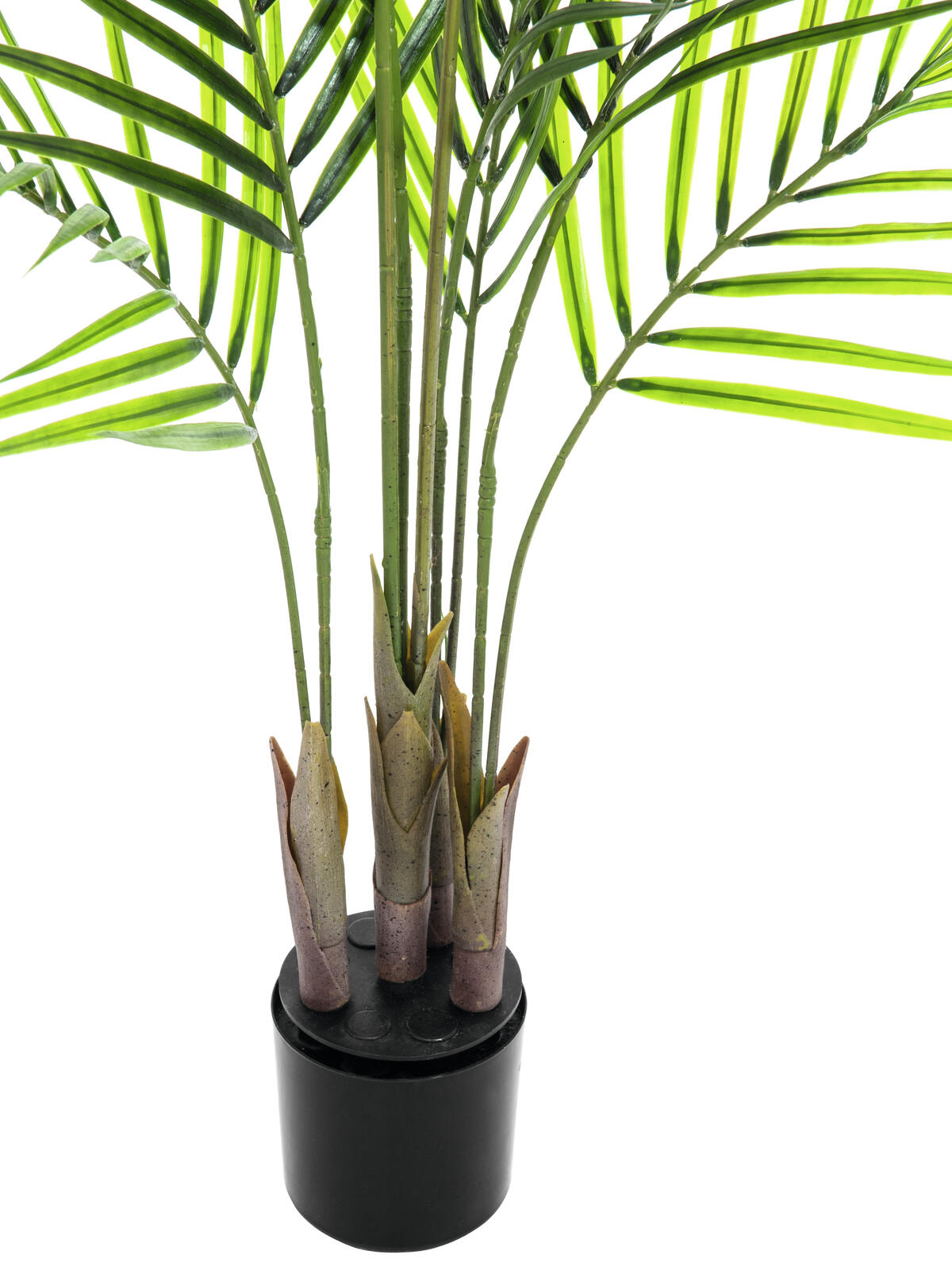 Areca-tekopalmu suurilla vihreillä lehdillä kasvatusruukussa, 125 cm