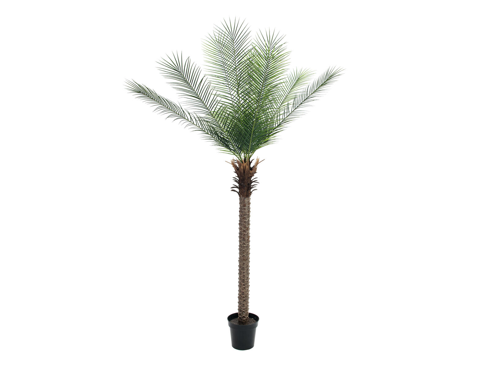 Vihreä feeniks-tekopalmu 220 cm puutarhurinruukussa