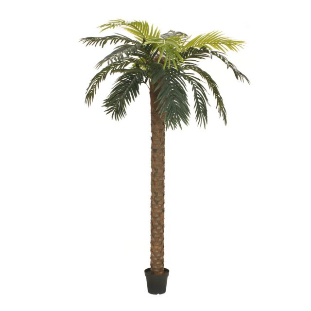 Vihreä feeniks-tekopalmu ruskealla rungolla, 250 cm