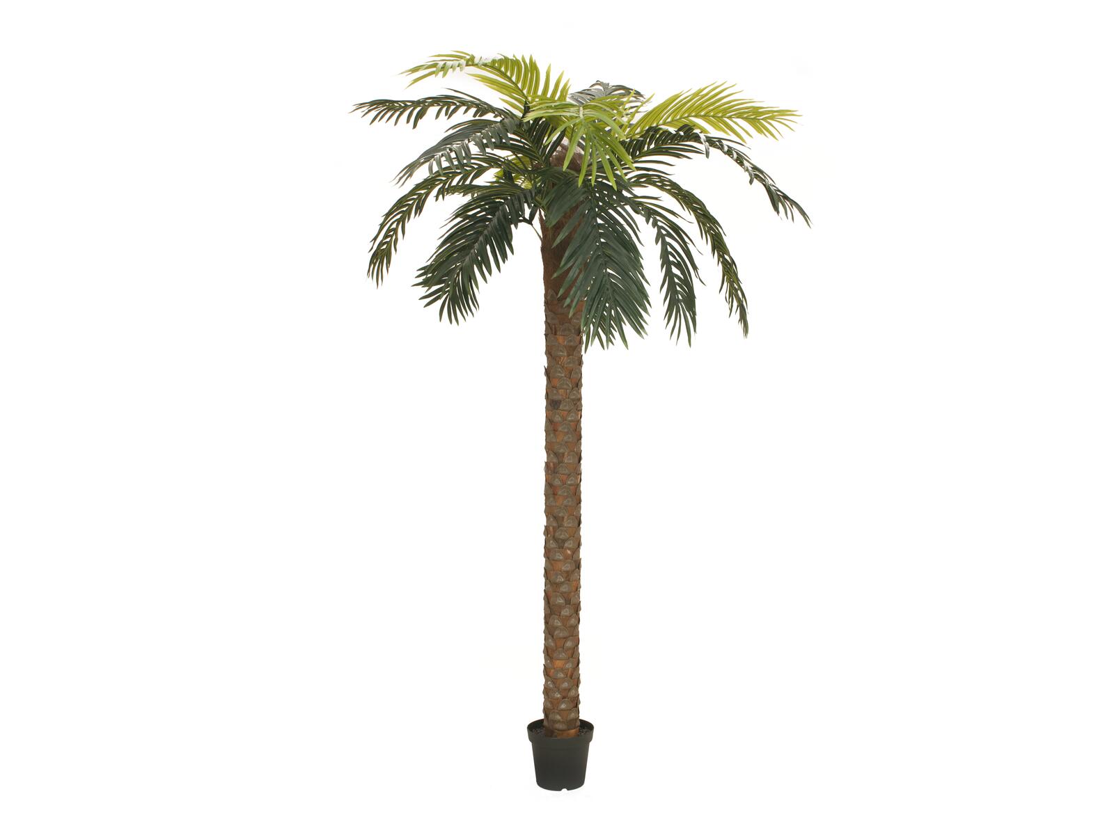 Vihreä feeniks-tekopalmu ruskealla rungolla, 250 cm