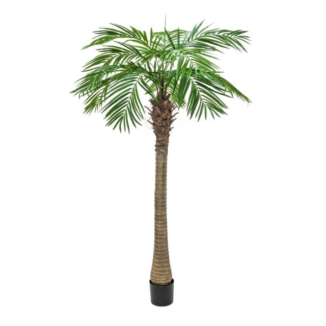 Vihreä 210 cm korkea tekofeenikspalmu