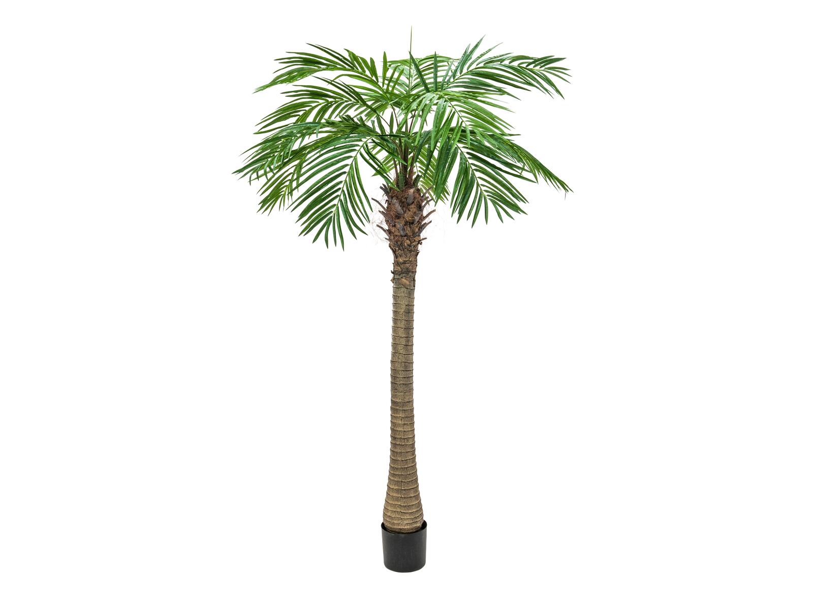 Vihreä 210 cm korkea tekofeenikspalmu