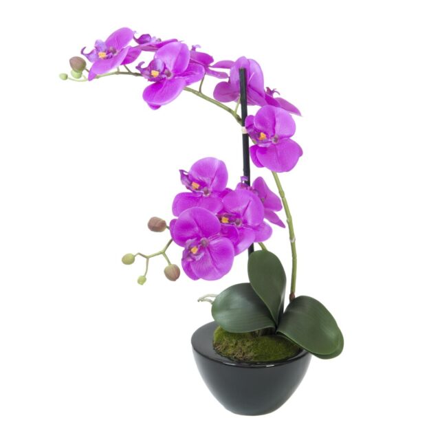 Violetti tekoperhosorkidea mustassa ruukussa