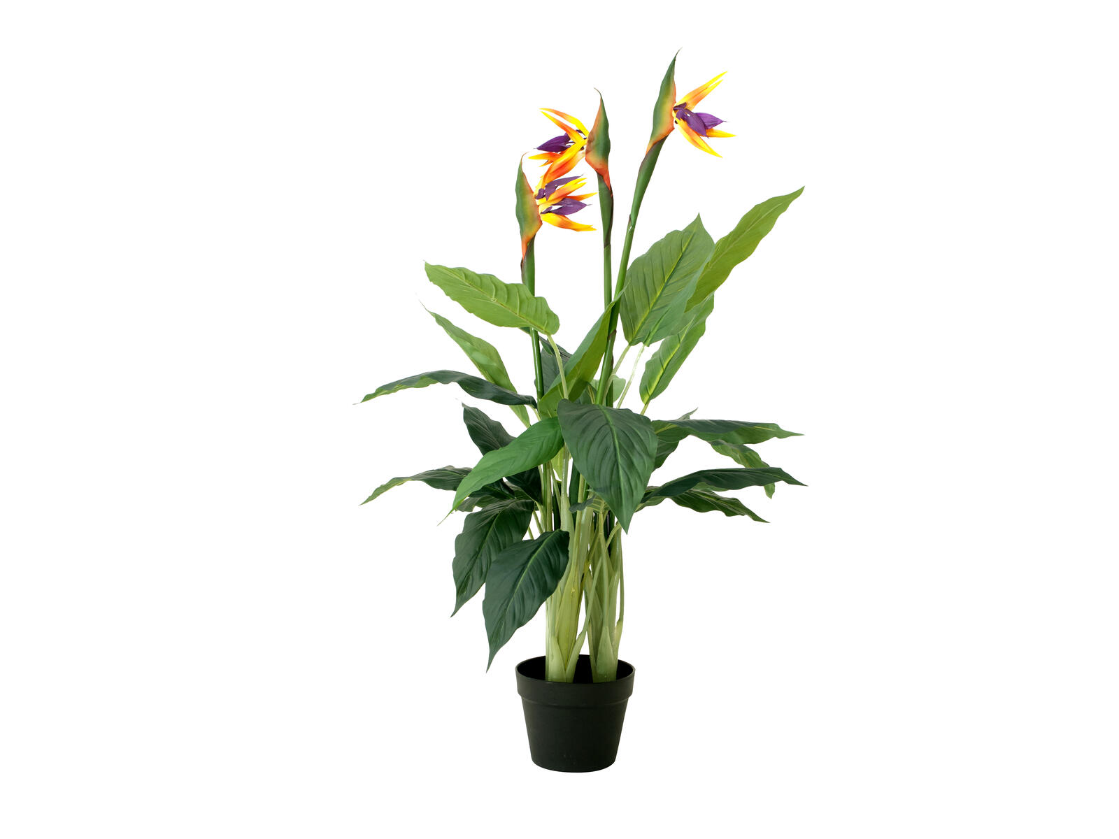 90 cm korkea tekoparatiisikukka vihreillä lehdillä ja värikkäillä kukilla