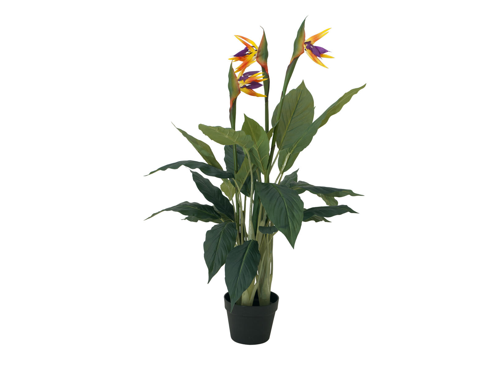 90 cm korkea tekoparatiisikukka vihreillä lehdillä ja värikkäillä kukilla