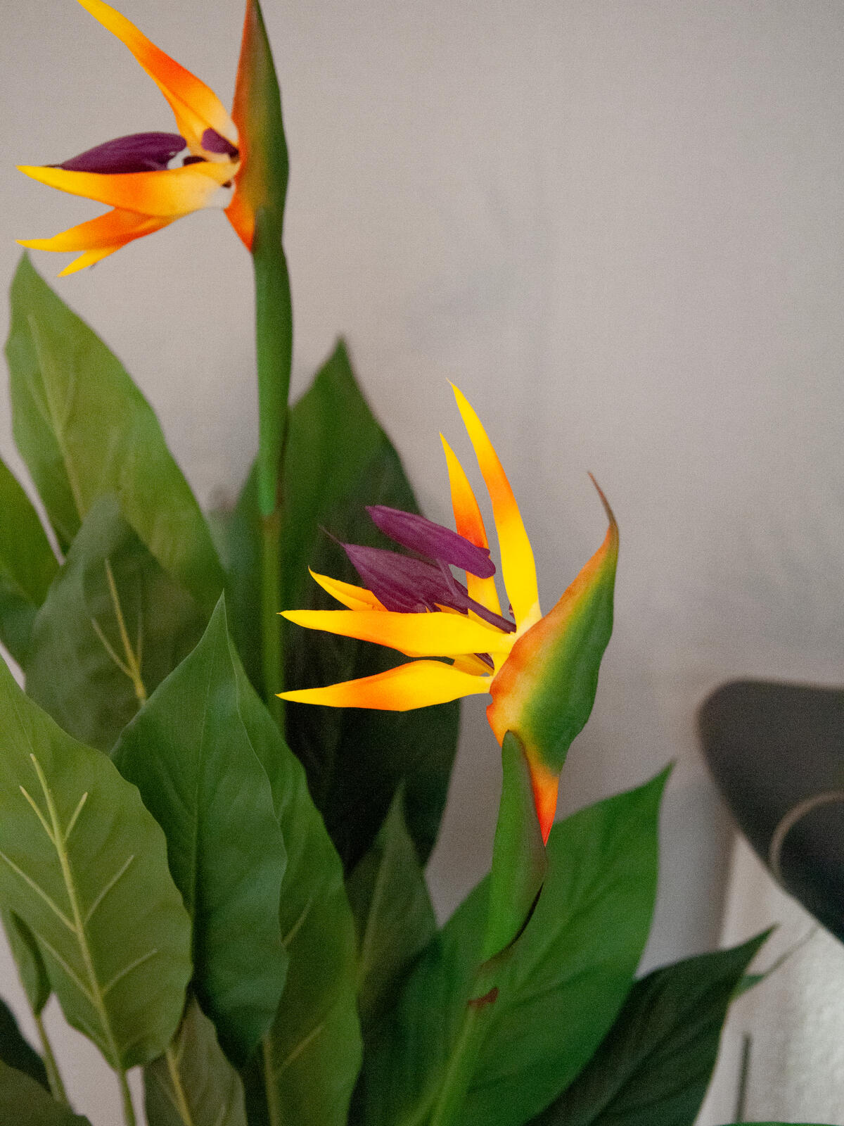 90 cm korkea tekoparatiisikukka vihreillä lehdillä ja värikkäillä kukilla