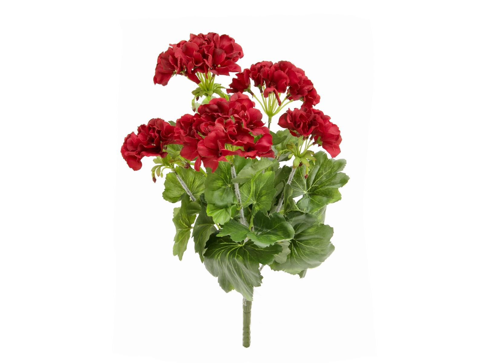 Punainen tekopelargoni vihreillä lehdillä, 42 cm