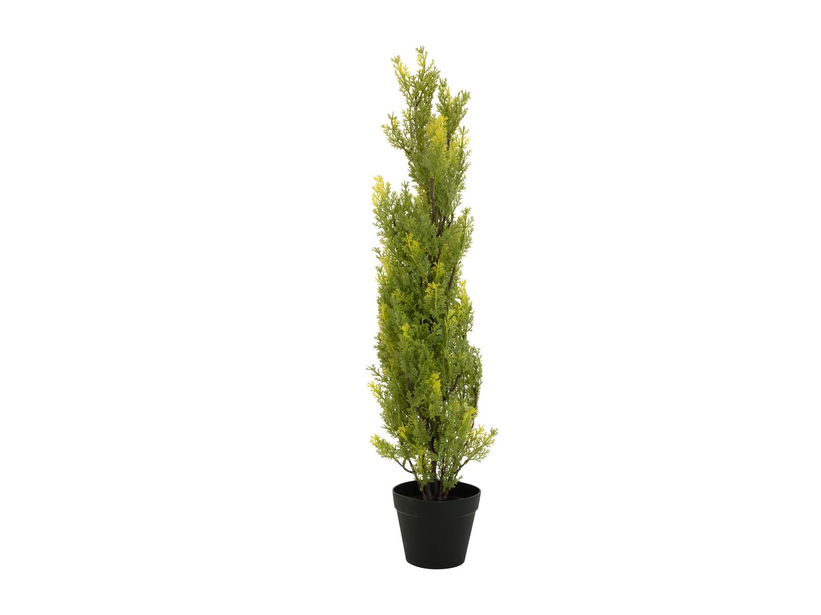 Vaaleanvihreä leylandsypressi-tekopuu 90 cm mustassa ruukussa